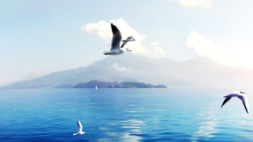 779320 (a): :1920x1080